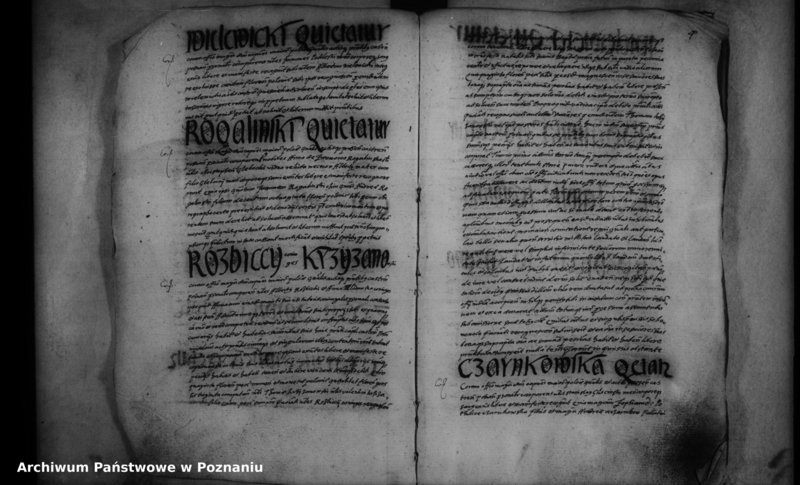 Obraz 5 z jednostki "Inscriptiones [inducta]"