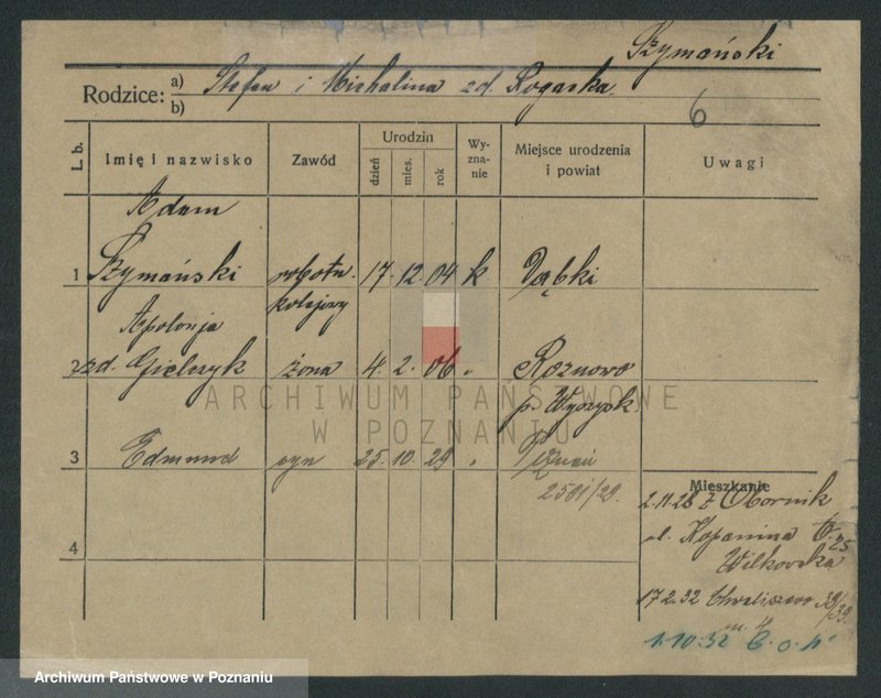 Obraz 15 z jednostki "Szymański (żonaci do Stanisław)"