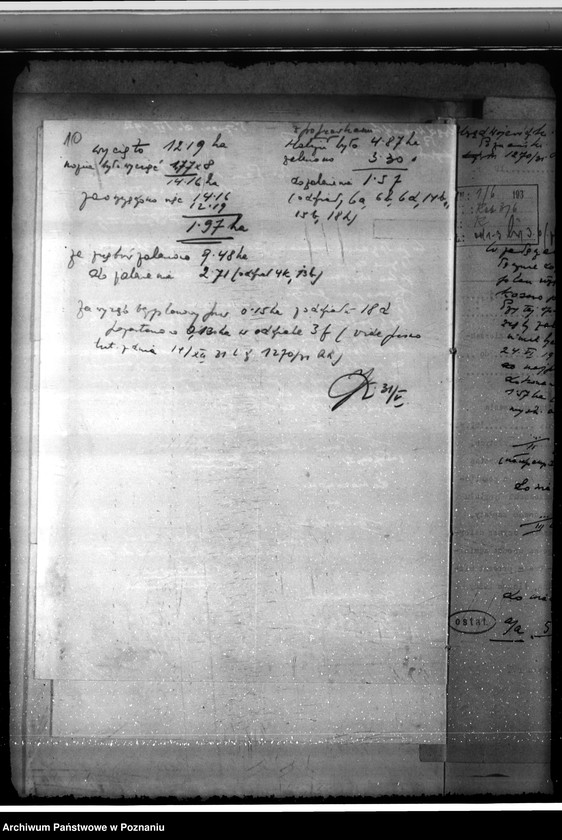 Obraz 14 z jednostki "Nadzór nad gospodarką w lasach majątku Kosowo w powiecie gostyńskim"