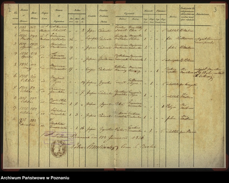 Obraz 4 z jednostki "Duplicat mortuorum"