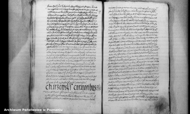 Obraz 20 z jednostki "Inscriptiones [inducta]"