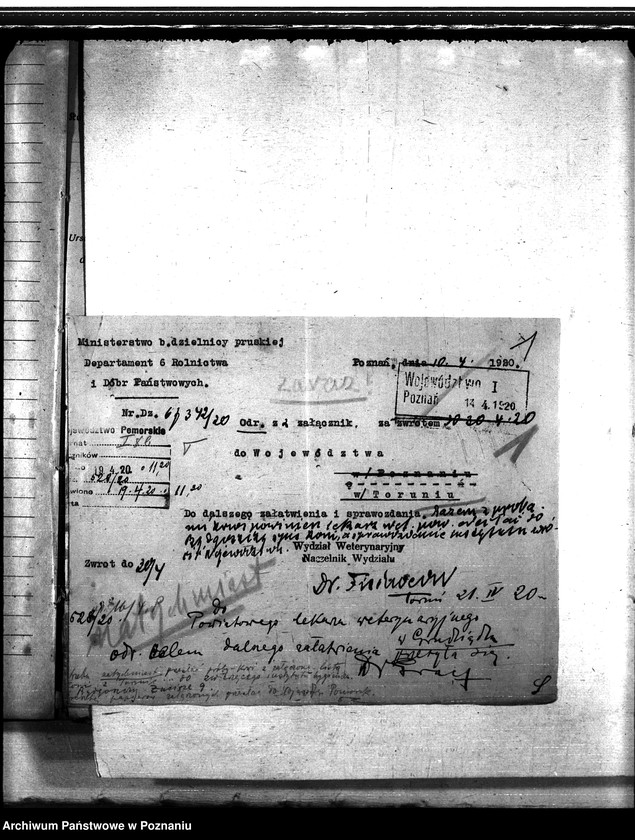 Obraz 5 z jednostki "Nosacizna - Grudziądz"