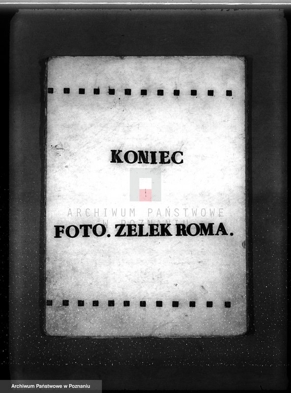 Obraz 12 z jednostki "Program gospodarczy dla lasu Adolfa Witta w gminie Jasionna powiat szamotulski"