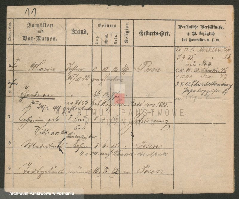 Obraz 11 z jednostki "Paprzycki - Pasiak"