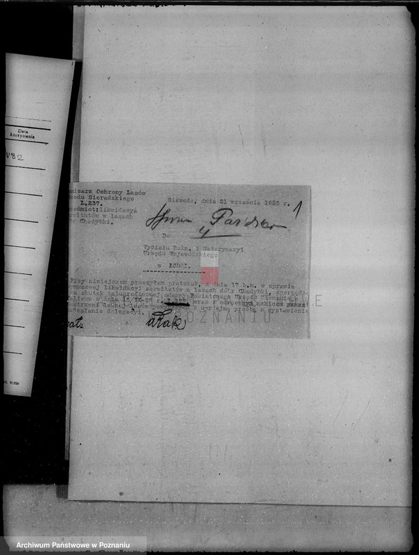 Obraz 5 z jednostki "Gmina Koźminek powiat kaliski /sprawy leśne/"