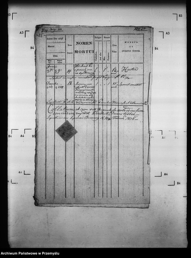 Obraz 19 z jednostki "[Kopie ksiąg metrykalnych parafii Brunary Wyżne z filiami Brunary Niżne, Czarna, Jaszkowa (dekanat Grybów)]"