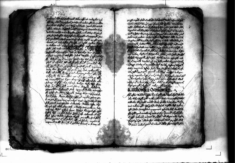 Obraz 11 z jednostki "Decreta officii [inducta]"