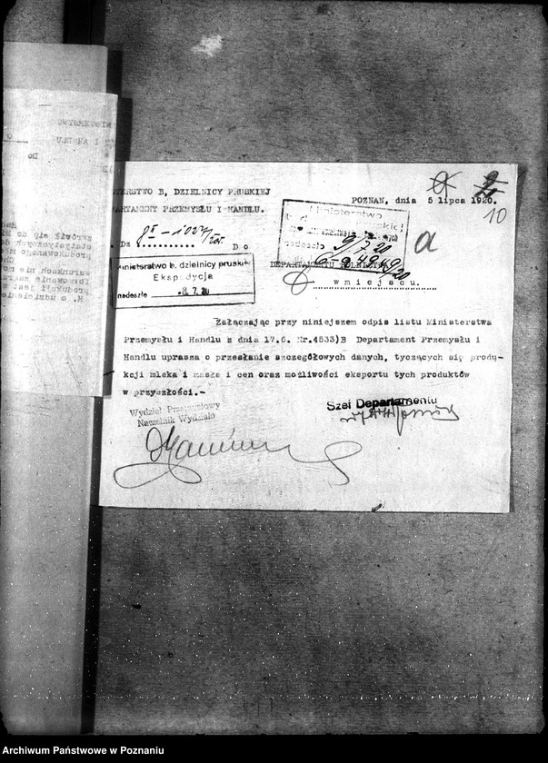 Obraz 15 z jednostki "Sprawy ogólno - administracyjne Mleczarstwo"