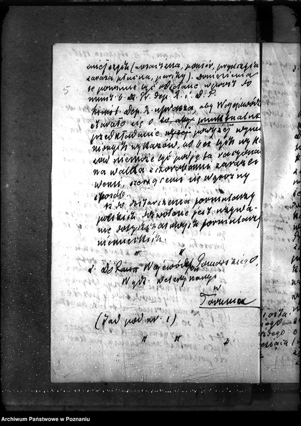 Obraz 9 z jednostki "Sprawy ogólne Wykazy chorób zaraźliwych; [księgosusz, zaraza płucna]"