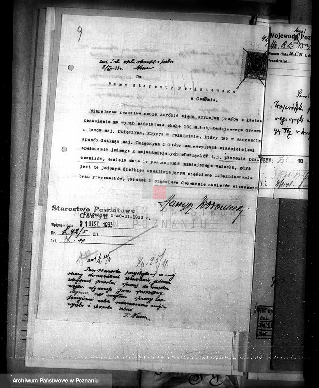 Obraz 13 z jednostki "Majętność leśna Dzięczyna w powiecie gostyńskim"