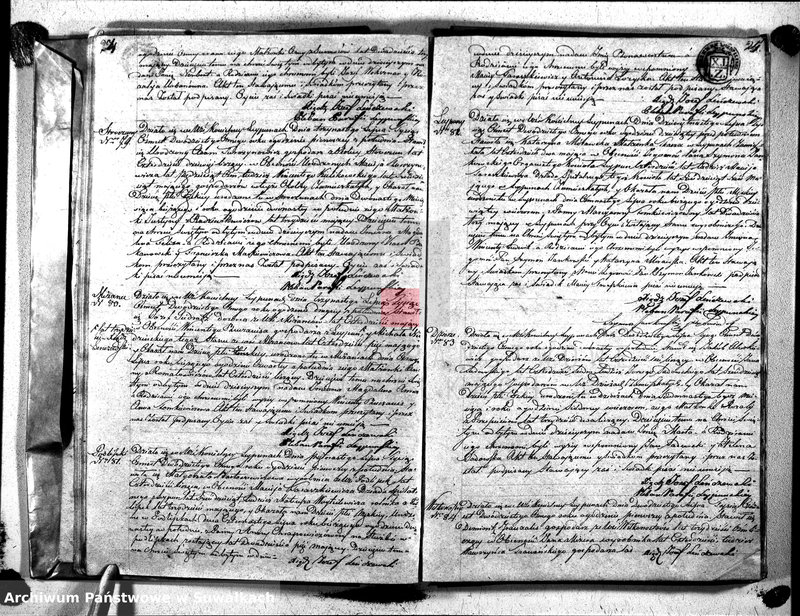 image.from.unit.number "Duplikat Aktów Urodzonych, Zaślibionych i Zmarłych Katolików Parafii Leypunskiey Roku 1828"