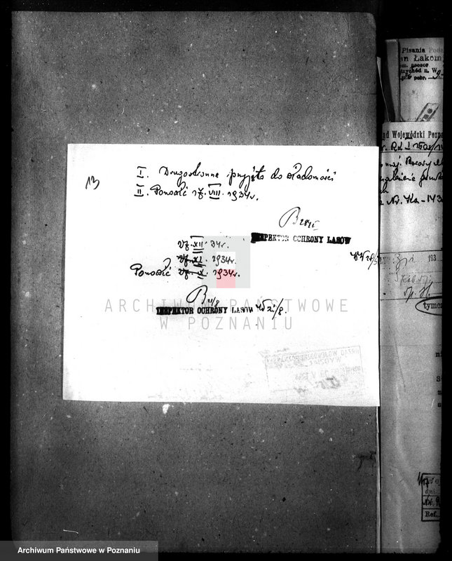 Obraz 17 z jednostki "Las majątku Borowy Młyn powiat międzychodzki"