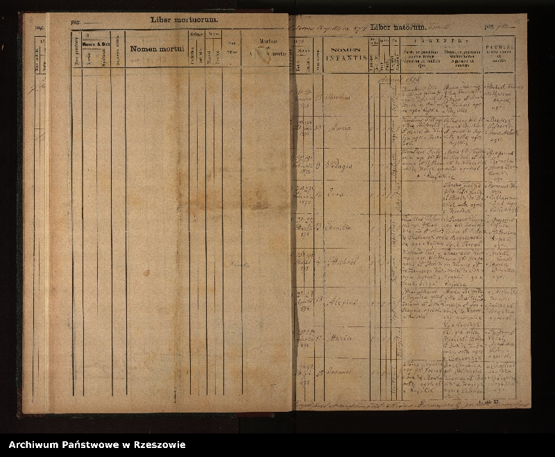 image.from.unit.number "Księga urodzeń, małżeństw i zgonów dla miejscowości Rajskie, Sakowczyk, Studenne, Horodek"
