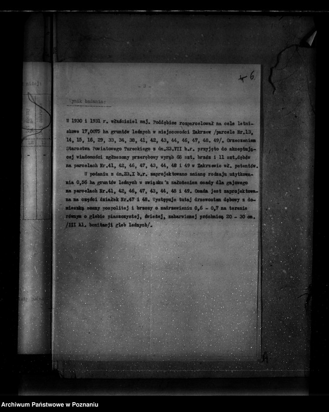 Obraz 10 z jednostki "Parcele leśne pod nazwą,,Zakrzew" powiat turecki"