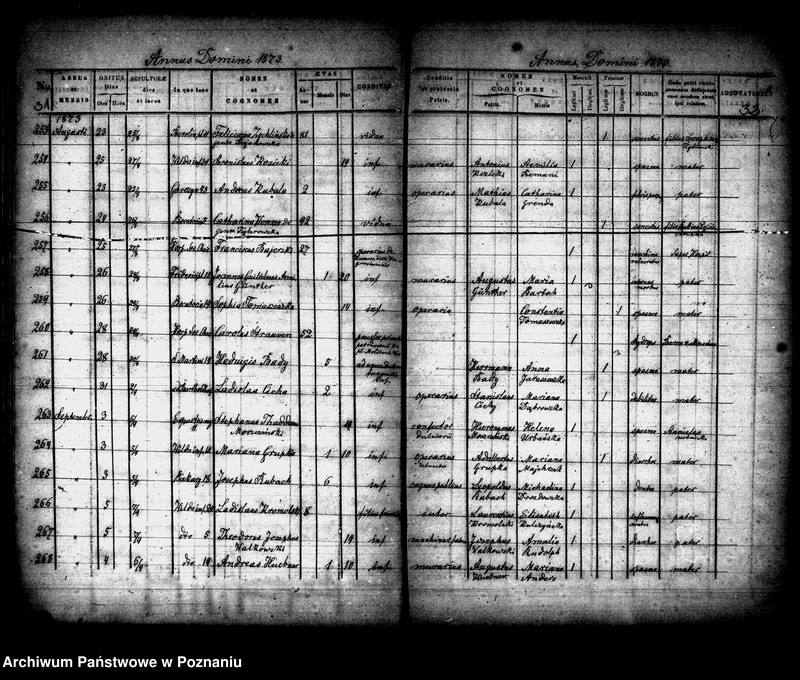 Obraz 17 z jednostki "Księga zgonów"