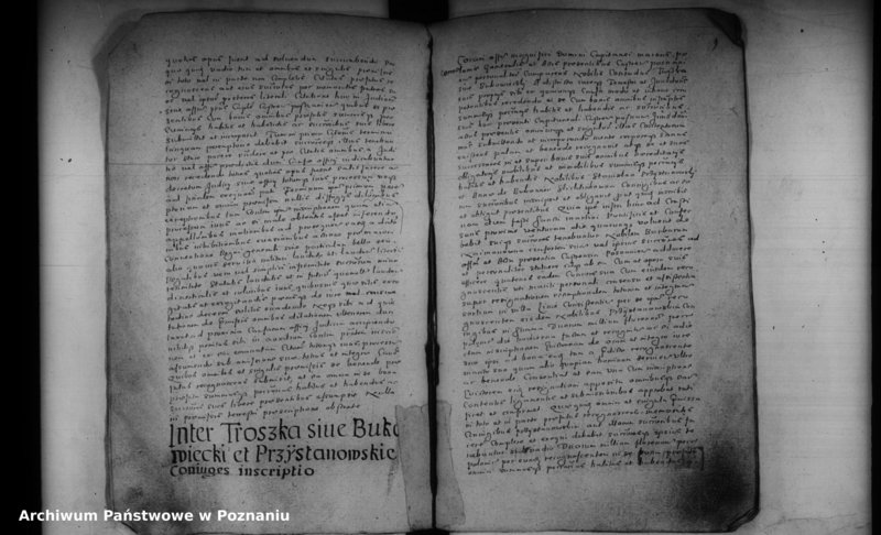 Obraz 16 z jednostki "Inscriptiones [inducta]"