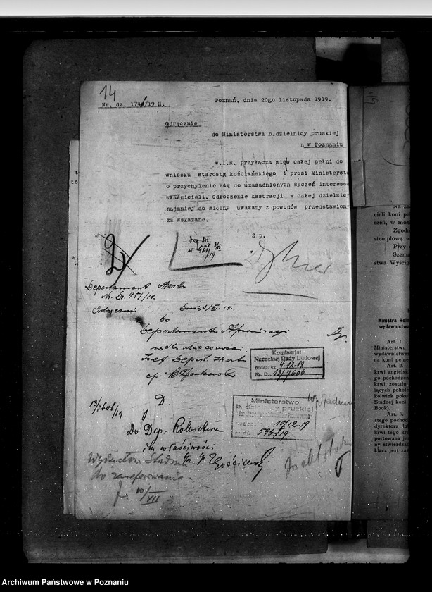 Obraz 18 z jednostki "Sprawy stadnin stadniny - ogólne zarządu stadnin"