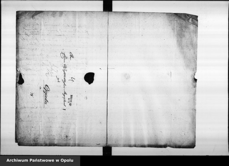 Obraz 8 z jednostki "Acta Denunciations contra den hiesigen Juden Abraham Treymann wegen unbefugt betriebener Pferden Mäkeley im Umherziehen. De anno 1826. Vol. I"