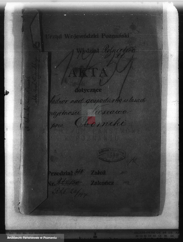 Obraz 4 z jednostki "Nadzór nad gospodarką w lasach majętności Nieszawa powiat obornicki"