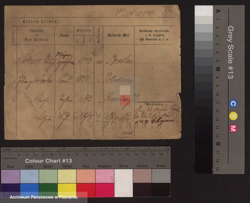 Obraz 5 z jednostki "Szewe - Szikula"