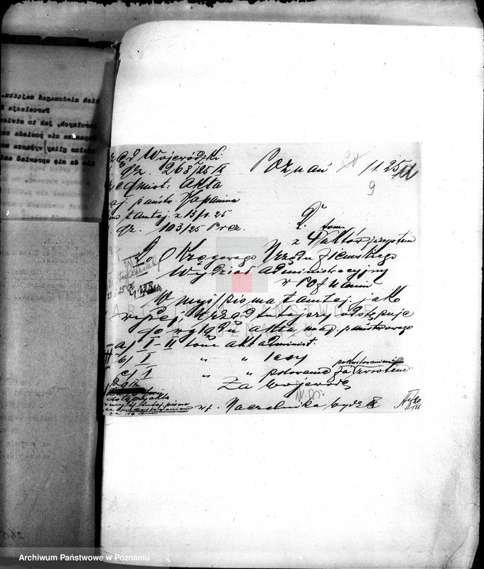 Obraz 13 z jednostki "Administracja majętności Kopanica"