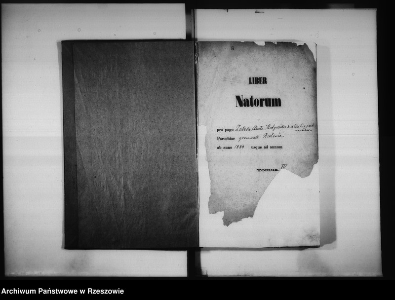 image.from.unit.number "Księga urodzeń Biała, Matysówka, Zalesie Drabinianka, Rzeszów, Tyczyn"