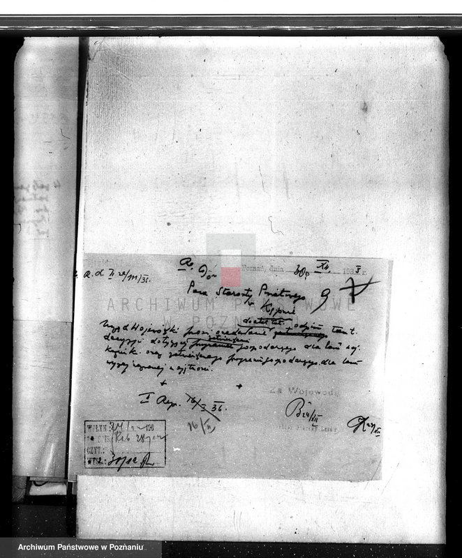 Obraz 13 z jednostki "Lasy majątku Kuźniki powiatu kępińskiego"