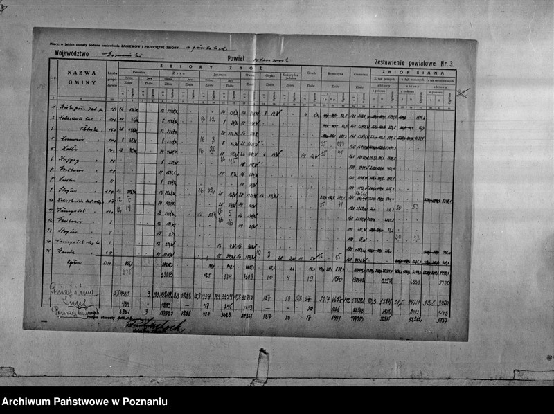 Obraz 12 z jednostki "/Statystyka produkcji rolnej - zestawienie powiatowe - Ostrów/"