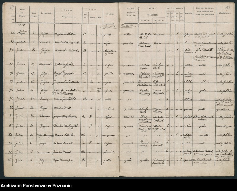 Obraz 11 z jednostki "Księga zgonów"