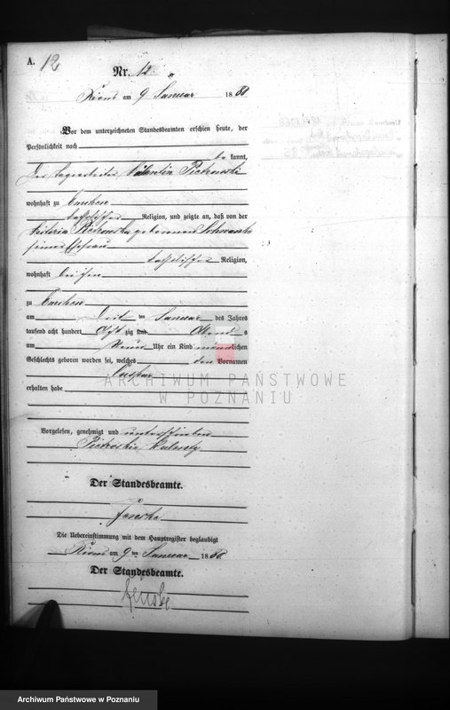 Obraz 14 z jednostki "Księga urodzeń"