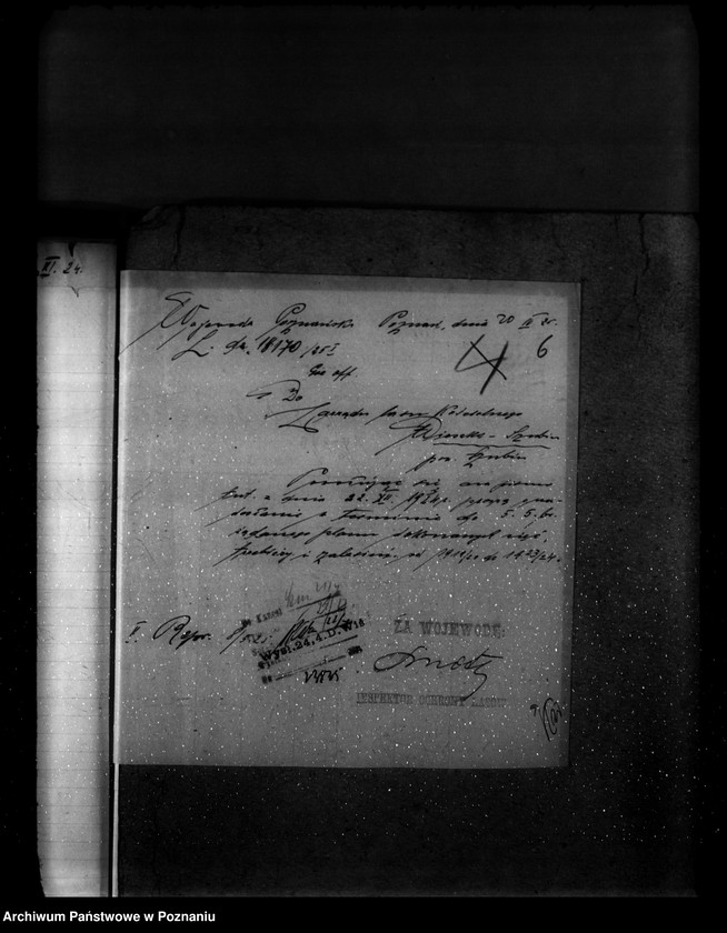 Obraz 10 z jednostki "Gospodarka leśna kościoła katolickiego Wieszki powiat szubiński"