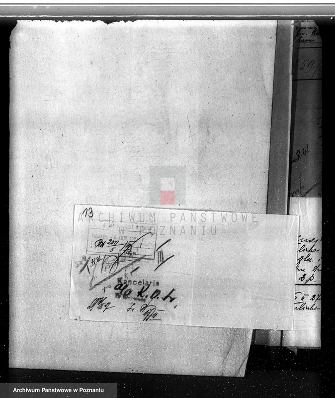 Obraz 16 z jednostki "Las miasta Tuliszkowo powiat koniński"