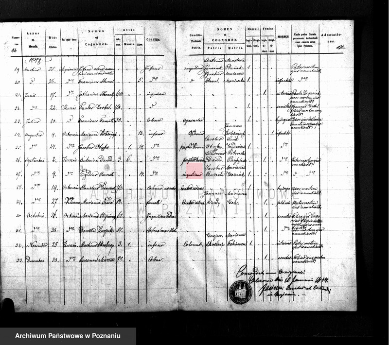 Obraz 13 z jednostki "Duplikat baptisatorum, copulatorum, mortuorum"