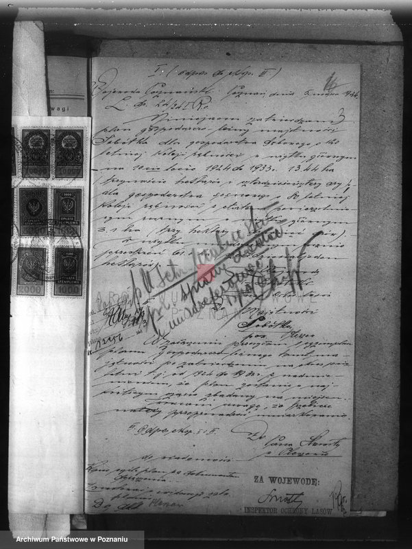 Obraz 7 z jednostki "Majętność /leśna/ Sobótka powiat ostrowski"