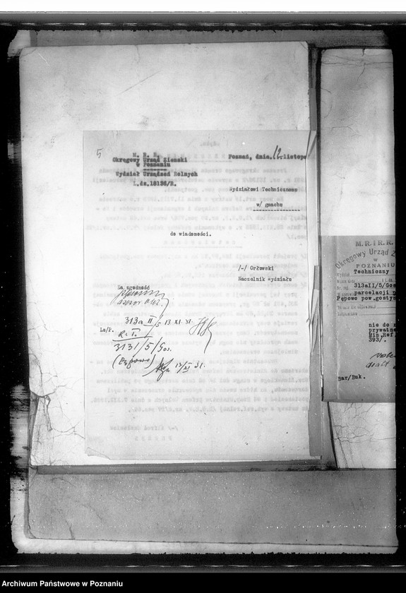 Obraz 9 z jednostki "Parcelacja prywatna Pępowo powiatu gostyńskiego"