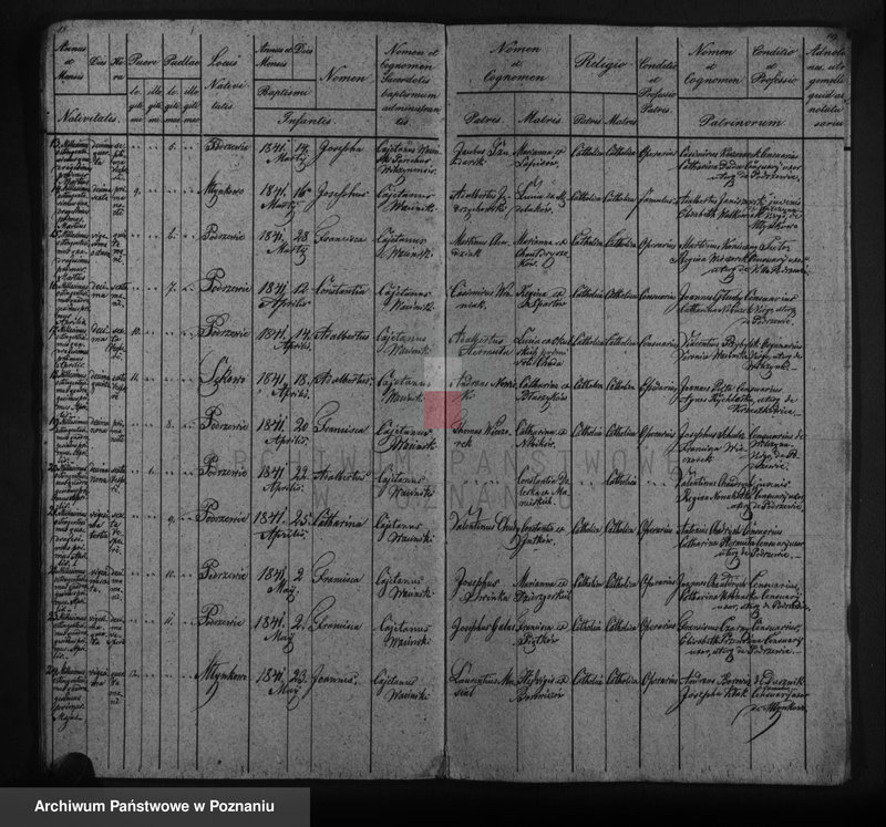 image.from.unit.number "Duplicat baptisatorum, copulatorum, mortuorum"
