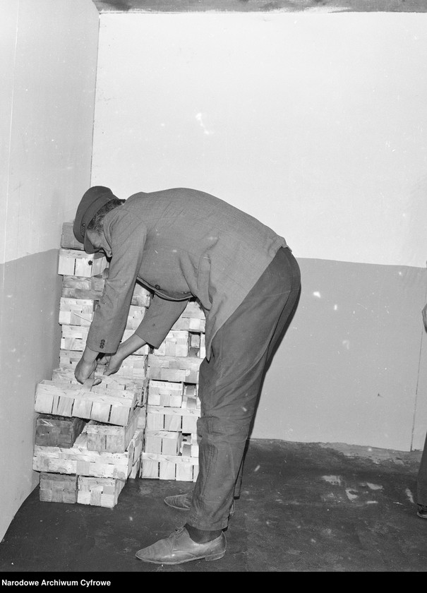 image.from.unit.number "Zbiór truskawek, skup owoców i warzyw we wsi Sobienie-Jeziory"