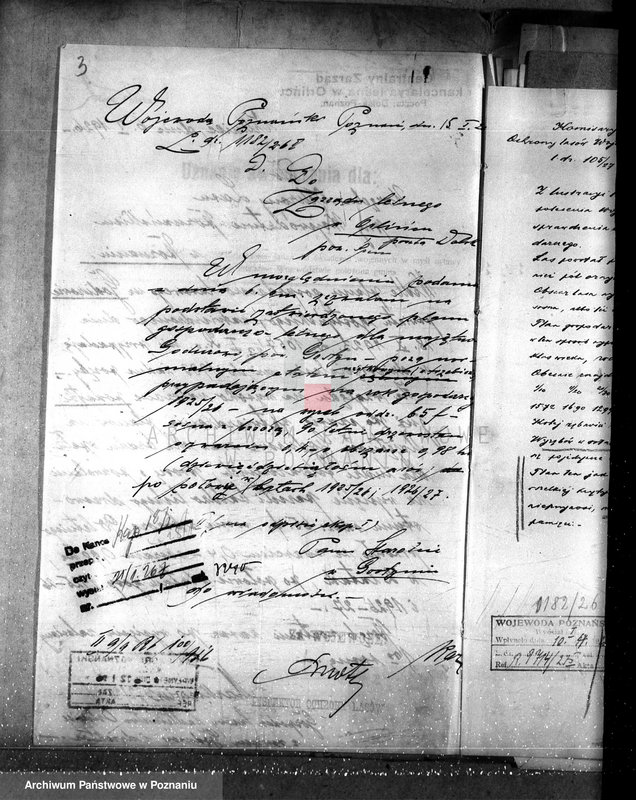 Obraz 7 z jednostki "Majętność leśna Godurowo w powiecie gostyńskim"