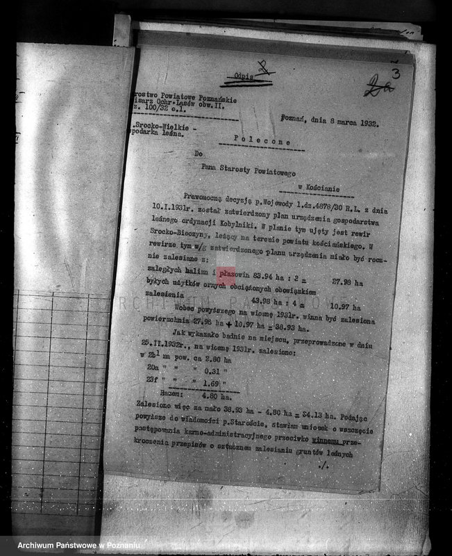 Obraz 7 z jednostki "Las majętności Bieczyny powiat kościański"