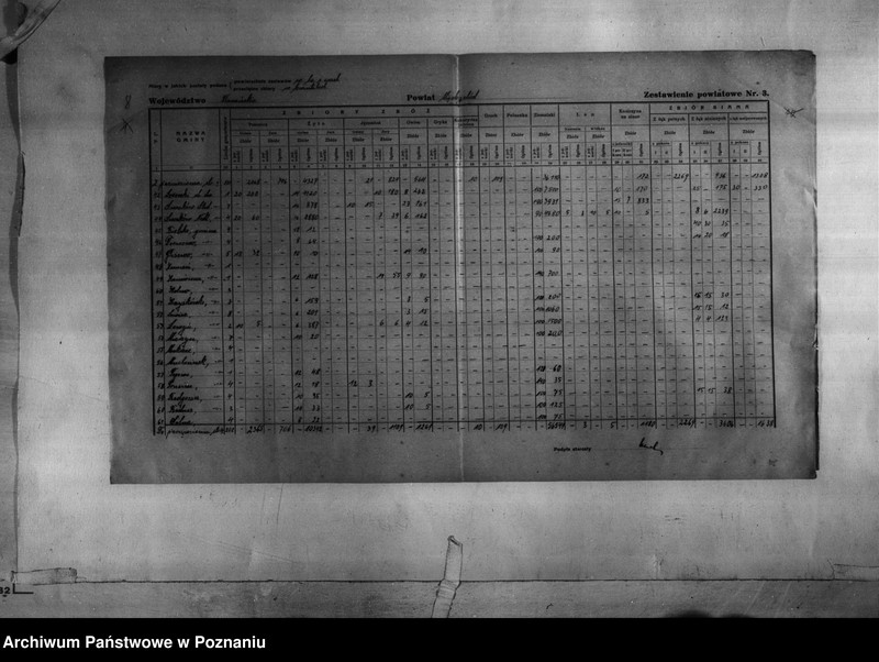 Obraz 10 z jednostki "/Statystyka produkcji rolnej - zestawienie powiatowe dotyczące zbiorów z terenu powiatu międzychodzkiego/"