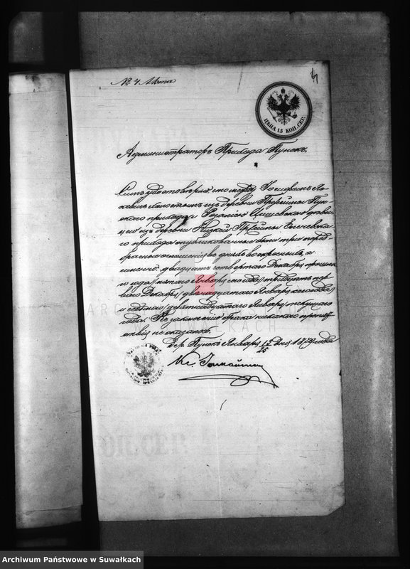 Obraz 8 z jednostki "Dokumenty k aktam brakosočetanîj Elenevskago Prichoda s 1879 goda"