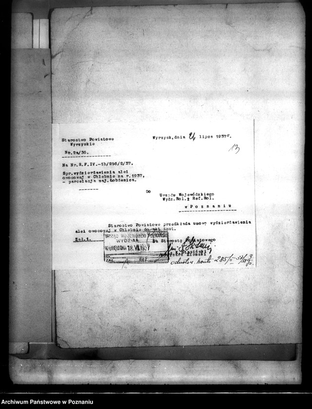 Obraz 17 z jednostki "Majątek Łobżenice powiatu wyrzyskiego wydzielenie zastrzeżonych parcel"