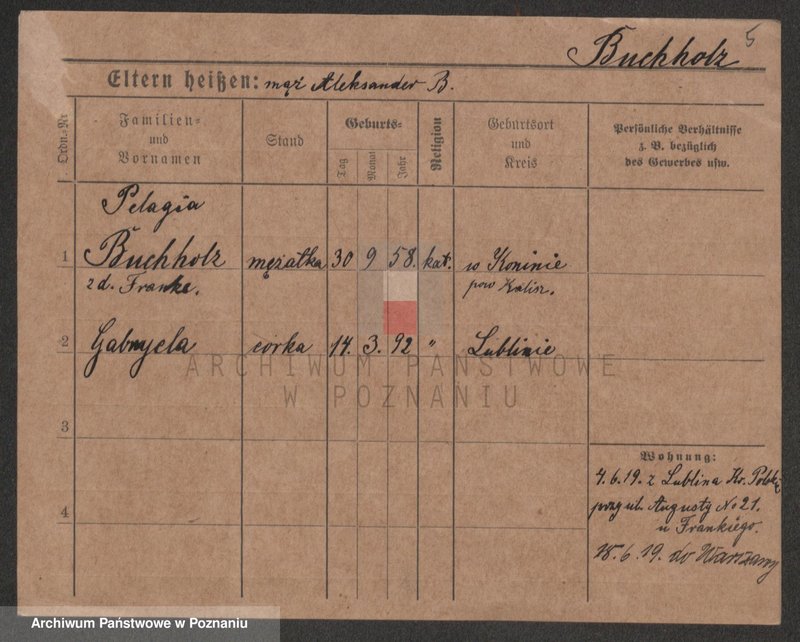 Obraz 7 z jednostki "Buchholz - Buczyński"