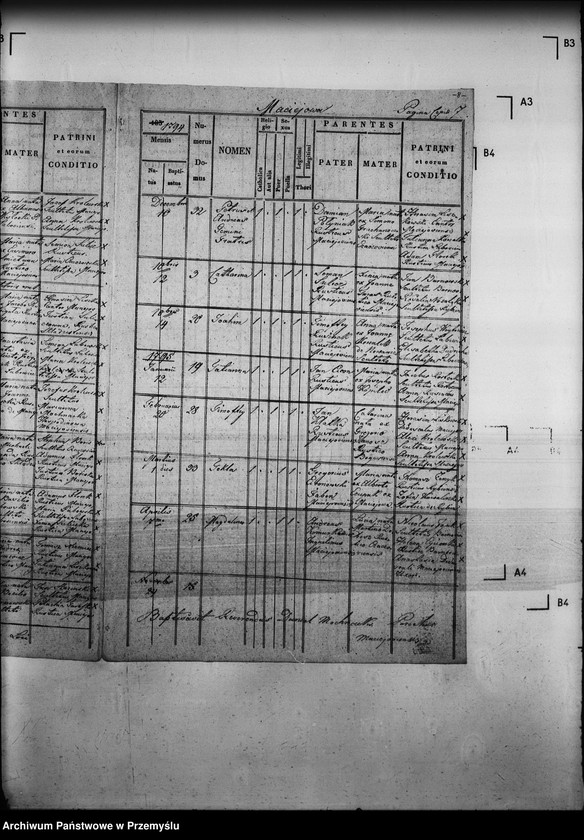 Obraz 12 z jednostki "[Kopie ksiąg metrykalnych parafii Maciejowa z filiami Barnowiec, Czaczów, Margoń, Składziste, Roztoka Mała, Rybień, Złotne (dekanat Muszyna)]"