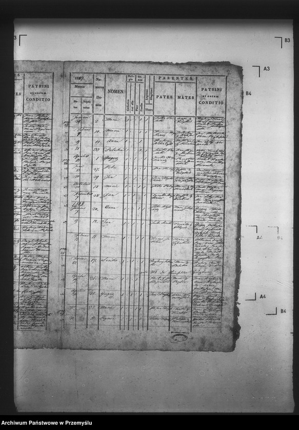 image.from.unit.number "[Kopie ksiąg metrykalnych parafii Kormanice z filiami Darowice, Fredropol (dekanat Niżankowice)]"