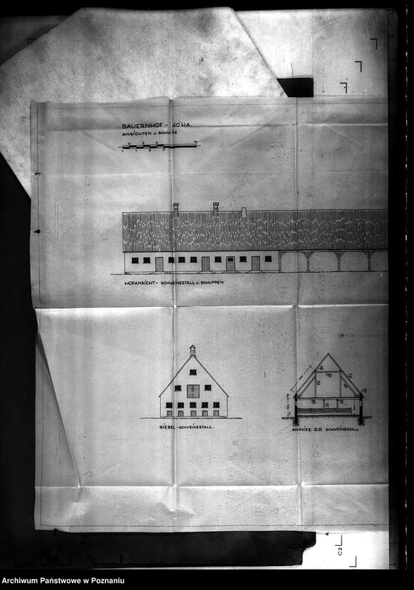 Obraz 15 z jednostki "Dorf Willingen - powiat Konin"