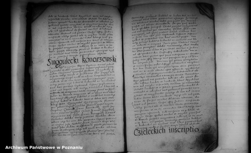 Obraz 10 z jednostki "Inscriptiones [inducta]"