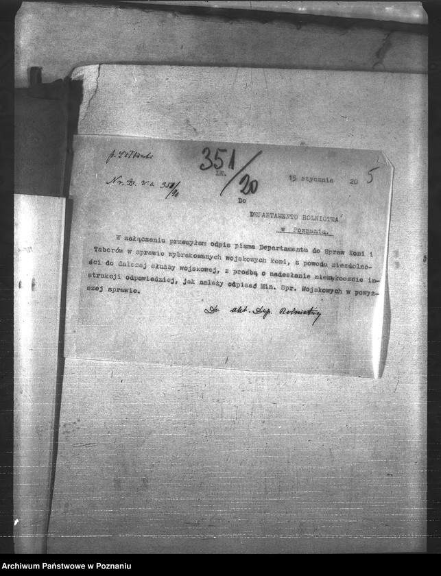 Obraz 9 z jednostki "Konie"