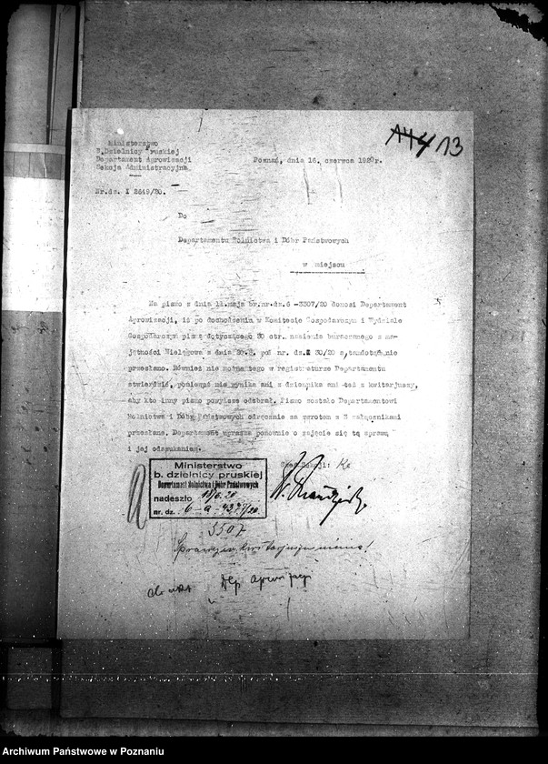 Obraz 17 z jednostki "Departament Aprowizacji"