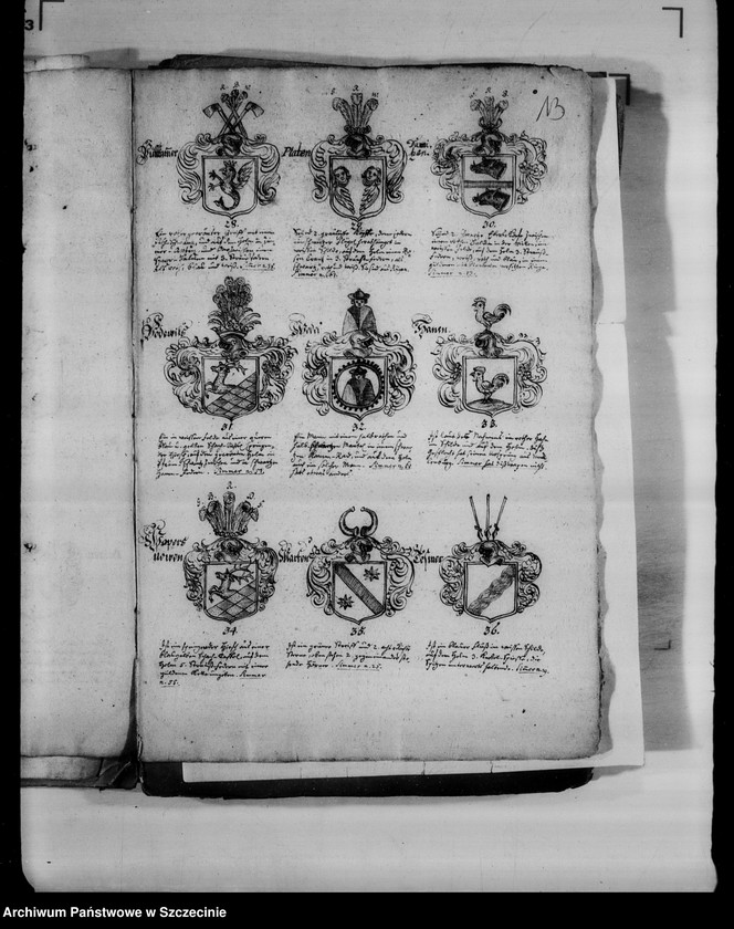image.from.unit.number "Abbildungen von 178 adelichen grostentheils Pommern-Wappen der pommerschen adlichen Familien"